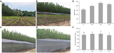 Integrated metabolomic and transcriptomic analyses reveal different metabolite biosynthesis profiles of <mark class="highlighted">Juglans mandshurica</mark> in shade